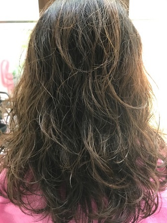 IMG_1163.JPG  ayai.JPG